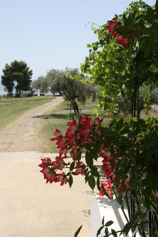 Villa Vlichos Amarynthos Exterior foto