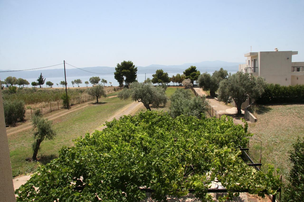 Villa Vlichos Amarynthos Exterior foto