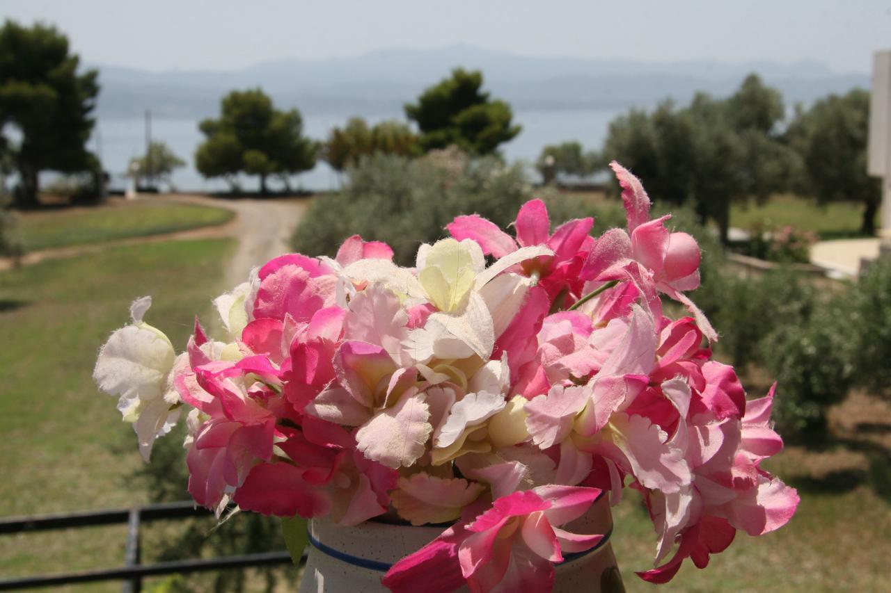 Villa Vlichos Amarynthos Exterior foto